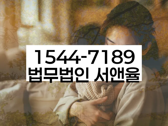 도림동 개인회생